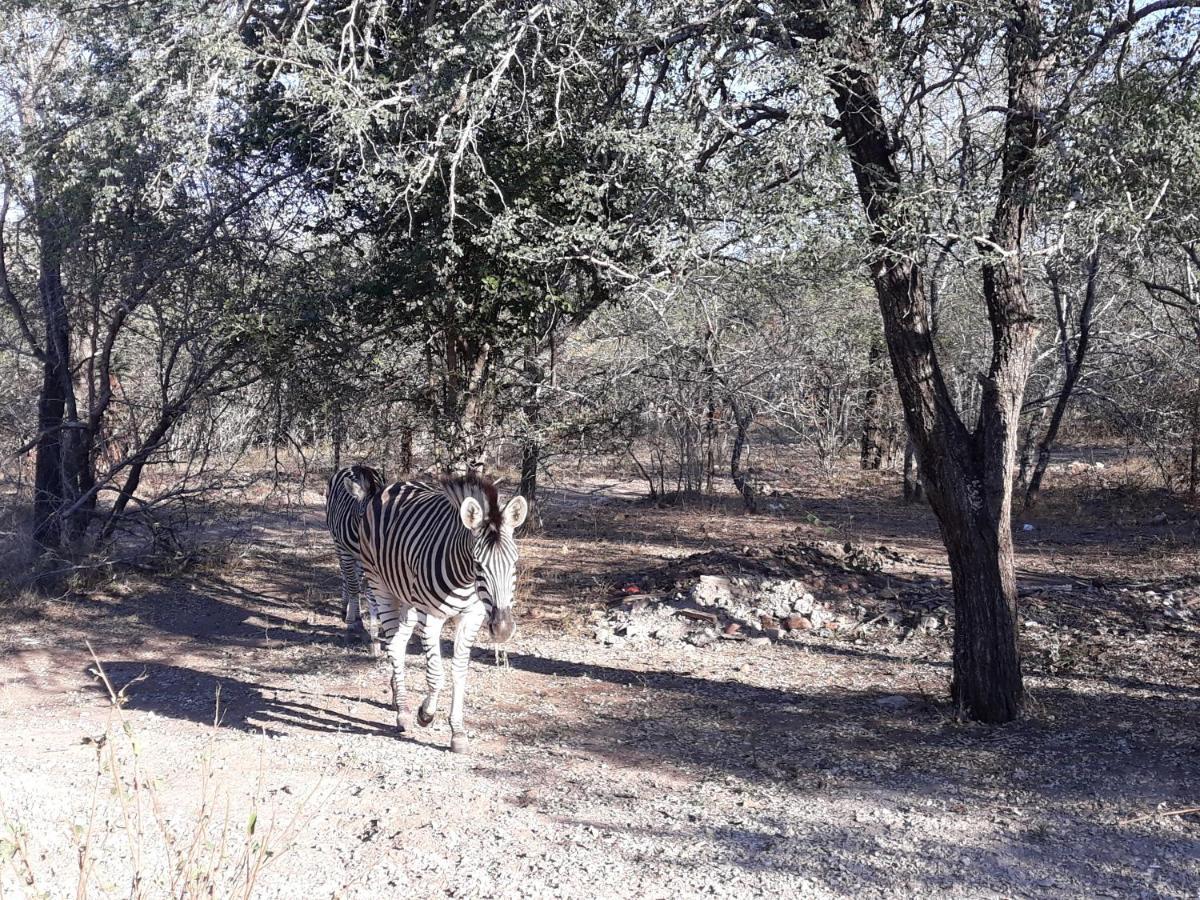 Holiday home Wild Escape Marloth Park