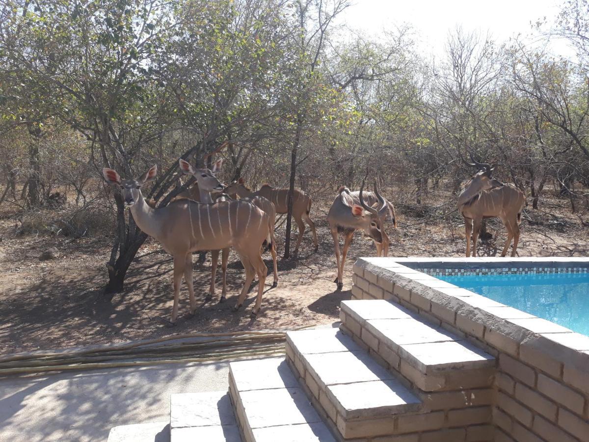 Holiday home Wild Escape