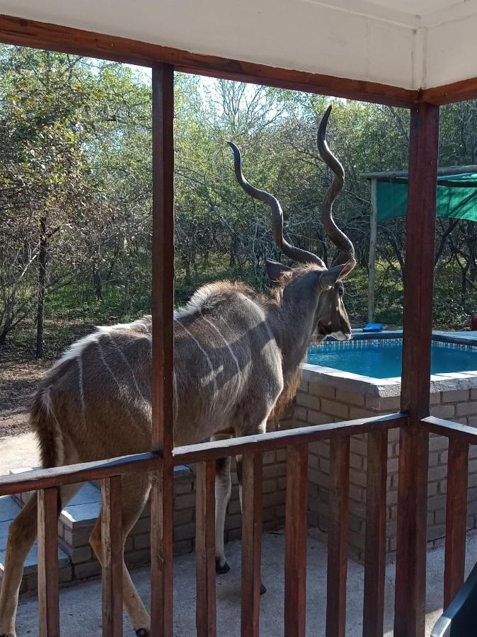 Holiday home Wild Escape